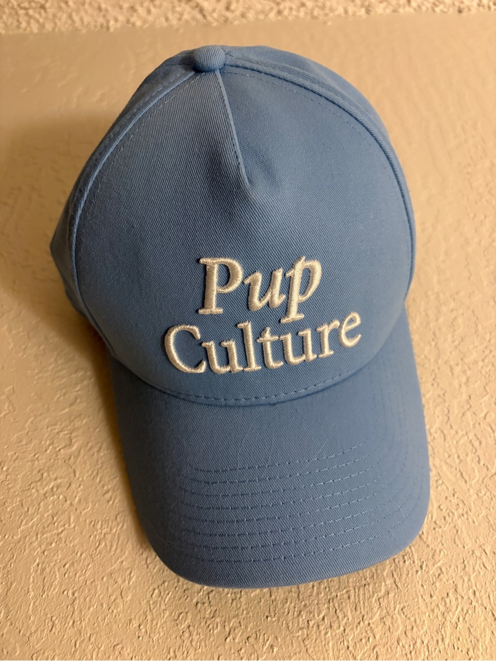 “Pup Culture” Diogie Light Blue Baseball Cap